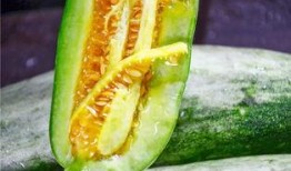 最近很火的网红吃瓜,一场娱乐圈的狂欢盛宴