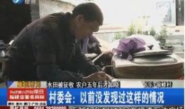 前安村事件事实爆料视频,揭秘真相，还原现场