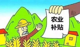 黑龙江农场爆料案件最新,揭开背后惊人真相