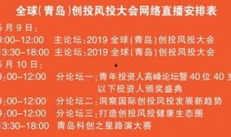 创投新闻爆料,神秘项目融资额达数亿，背后故事引人关注