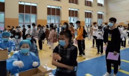 项城天鹅湖最新消息爆料,冬日美景与生态保护齐飞