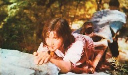 电影小花在线观看,穿越时光的青春记忆