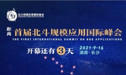 岳阳最新爆料新闻报道网