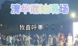 神秘的爆料视频,神秘事件背后的惊人真相
