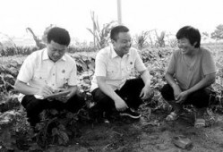 杞县当地人爆料案件最新,当地人爆料案件最新进展，真相即将揭晓！