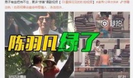 老岳微博爆料是真的吗视频,视频真实性揭秘