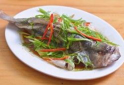 海鱼蚝油爆料方法窍门视频,视频揭秘烹饪窍门