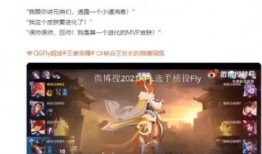 元芳周年爆料视频大全,揭秘视频大全背后的精彩瞬间