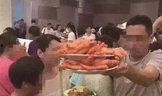 养殖对虾爆料视频播放,视频播放背后的养殖秘密大曝光