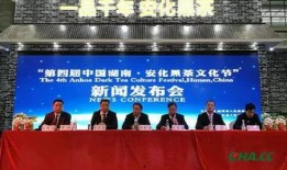 会展中心最新爆料新闻,会展中心最新动态，重磅爆料引行业关注