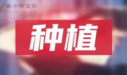 岳阳最新爆料新闻报道网