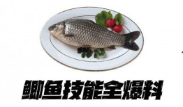 鲫鱼杀手今日爆料,揭秘养殖业的惊人秘密