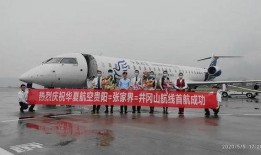 贵阳飞机场爆料案件最新