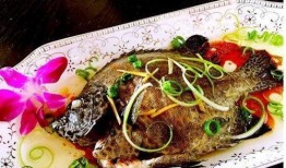 海鱼蚝油爆料方法窍门视频,视频揭秘烹饪窍门