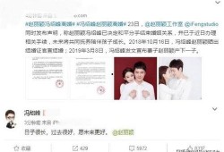 男网红爆料冯绍峰视频播放,播放量惊人引发热议