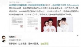 男网红爆料冯绍峰视频播放,播放量惊人引发热议