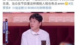 沈梦辰爆料对象了吗视频,视频背后的神秘爆料对象大揭秘