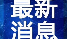 最新军需爆料新闻报道视频,军需爆料新闻报道视频深度解析