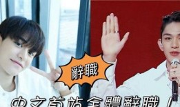 黄旭熙视频爆料在线观看,独家内容在线观看解析