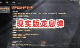 突围爆料视频在哪看到的,探寻幕后真相